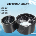 PE孔網鋼帶復合管