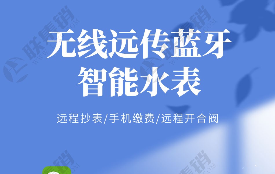 無(wú)線遠(yuǎn)傳藍(lán)牙智能水表