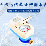 無(wú)線遠(yuǎn)傳藍(lán)牙智能水表