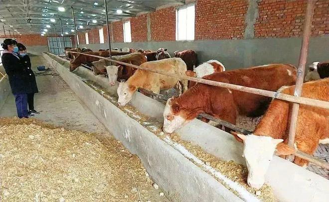 管道局：堅(jiān)決當(dāng)好保障國(guó)家能源安全的“壓艙石”和“頂梁柱”！