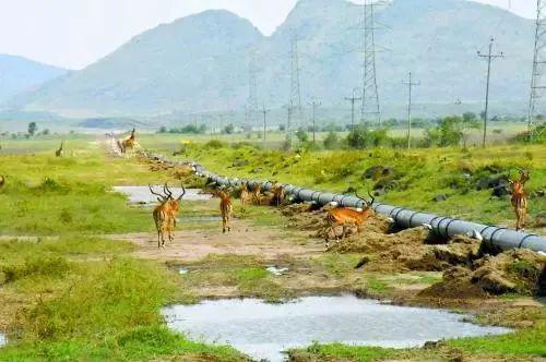 管道局：堅(jiān)決當(dāng)好保障國(guó)家能源安全的“壓艙石”和“頂梁柱”！